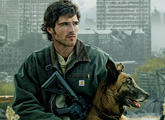 The Dog Stars: Jacob Elordi và em chó và chòm sao bất diệt trong tận thế khác thường