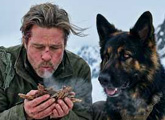 Brad Pitt cùng em chó sinh tồn nơi hoang dã bằng Trái tim quái thú yêu thương và quả cảm